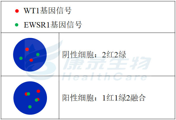 中国·拉斯维加斯(3499·官方认证)网站-Officialwebsite